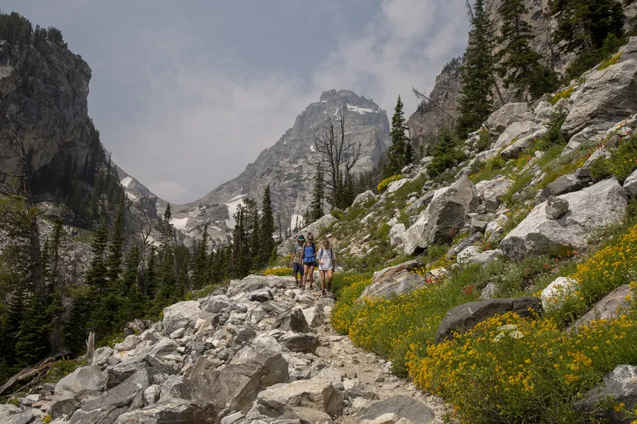 A hiker on a rocky canyon trail lined with summer wildflowers.